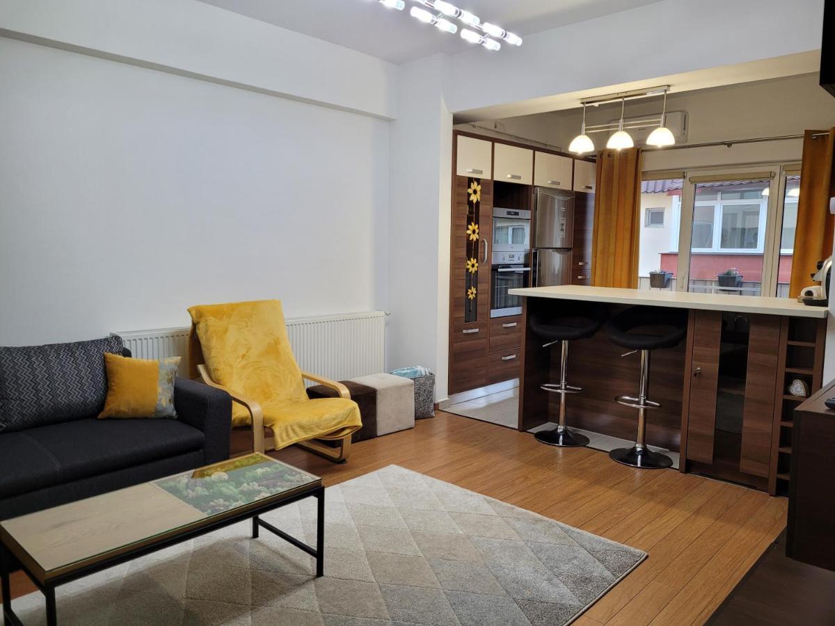 Andi Apartment Сібіу Екстер'єр фото